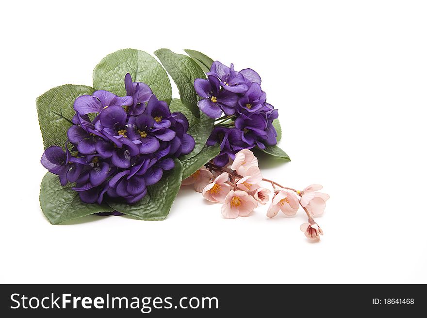 Flower jewelry and flowering branch onto white background