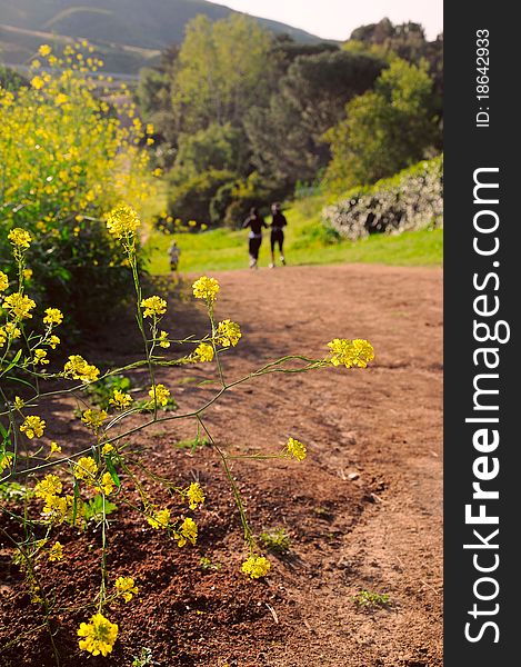 Spring morning hikers and bloom. Spring morning hikers and bloom