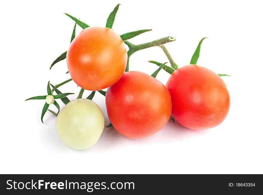 Perfect red tomatoes on branch on the white. Isolation, shallow DOF. Perfect red tomatoes on branch on the white. Isolation, shallow DOF.