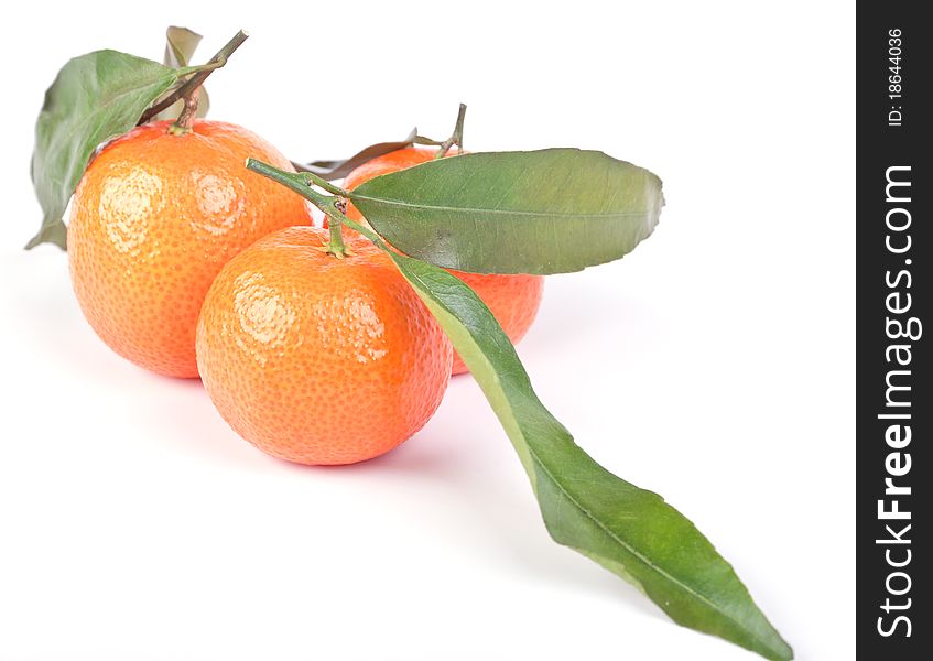 Three tangerines with green leaves on white background