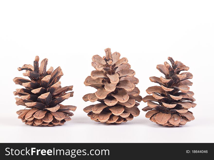 Three pine cones on white background