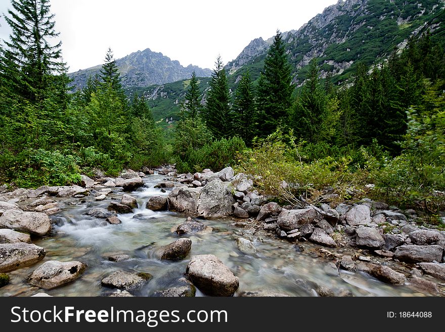 Mountain Stream