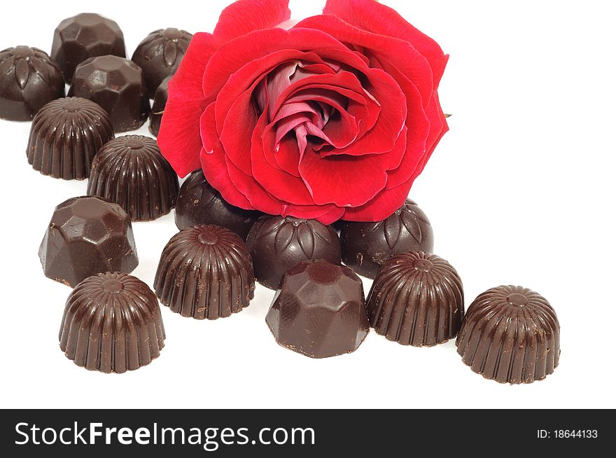 Beautiful red rose and chocolate on white background