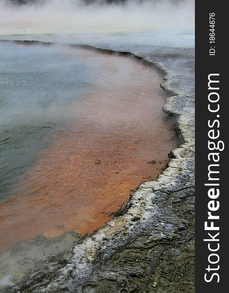 The coloured edge of a geotheral geyser pool in Rotorua, New Zealand. The coloured edge of a geotheral geyser pool in Rotorua, New Zealand