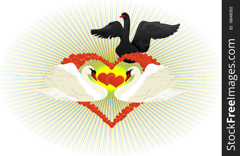 Two white swans on a background of abstract An image of the heart. Black Swan is trying to destroy the relationship in love couple. Two white swans on a background of abstract An image of the heart. Black Swan is trying to destroy the relationship in love couple