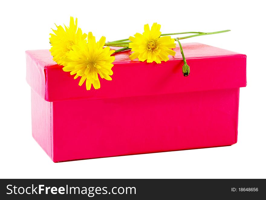 Yellow flowers over red gift box. Yellow flowers over red gift box
