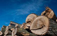 Stack Of Wood Stock Photography Stack Of Wood Stock Photography