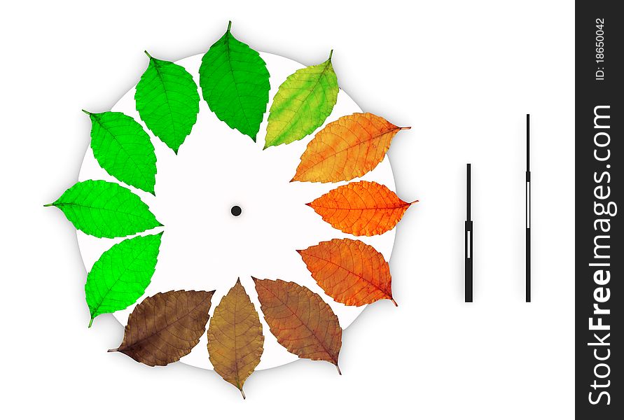 Clock with leaves instead of numbers on white background. Clock with leaves instead of numbers on white background