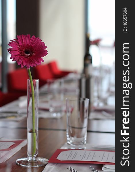 Crimson gerbera in vase on the table