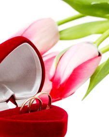 Beautiful Spring Tulips And Wedding Rings Stock Image Beautiful Spring Tulips And Wedding Rings Stock Image
