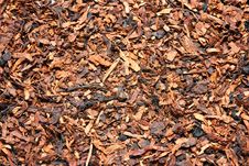 Dry Tobacco Royalty Free Stock Image Dry Tobacco Royalty Free Stock Image