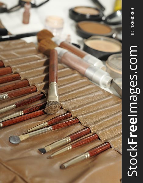 Professional make up artist set of brushes and powders