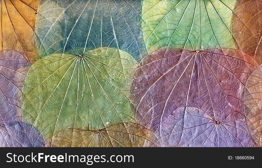 Grunge background of colorful dried leaves. Grunge background of colorful dried leaves
