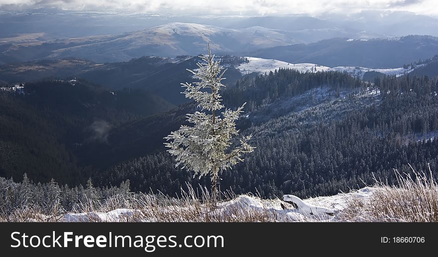 Winter landscape with a lot of snow and sunshine