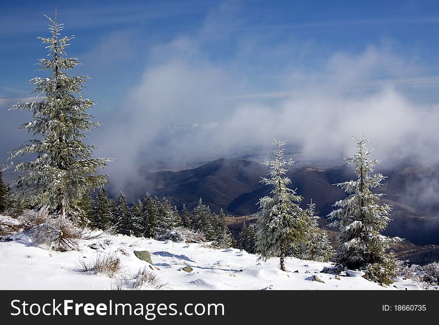 Winter landscape with a lot of snow and sunshine