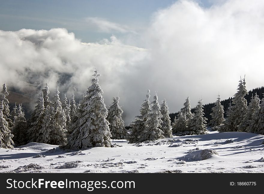 Winter landscape with a lot of snow and sunshine