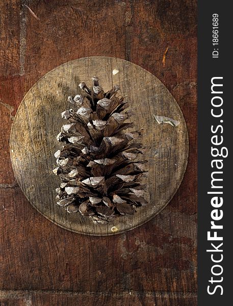 Still life with pine cone over wooden texture