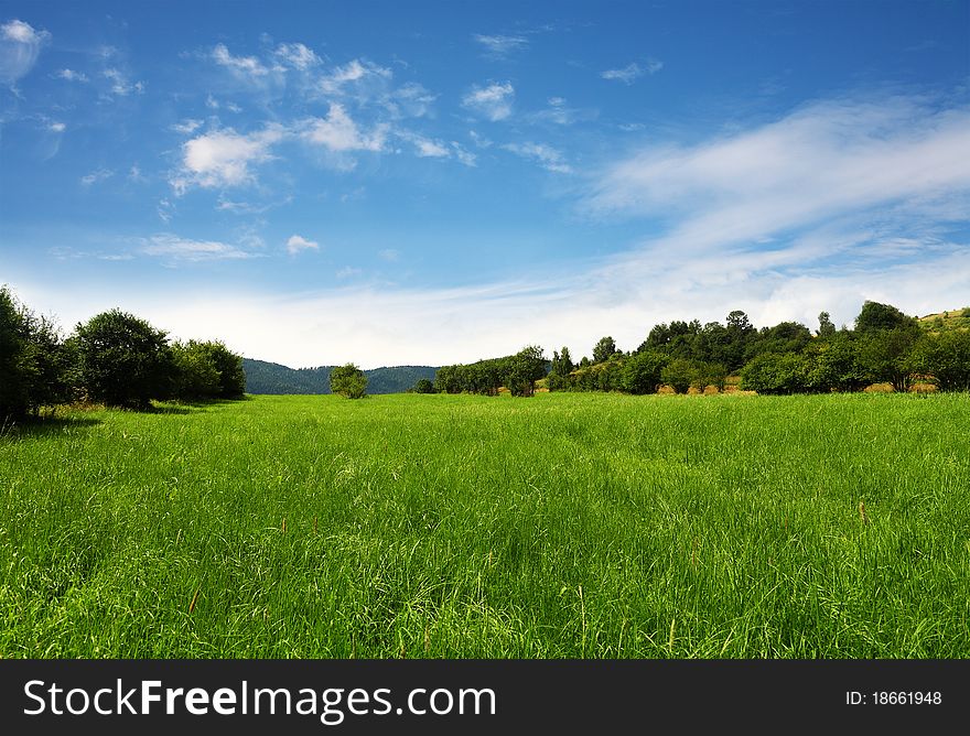 Image of blue sky and green field. Image of blue sky and green field