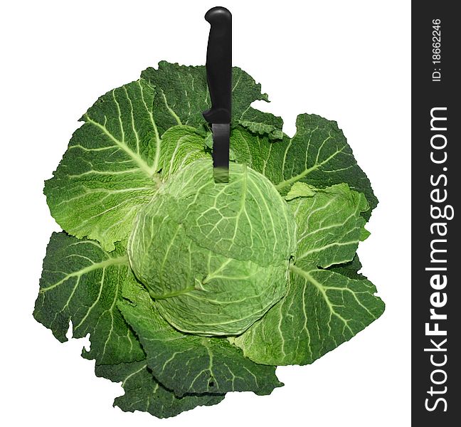 Savoy cabbage with a knife, fresh and green with reflection on a knife blade