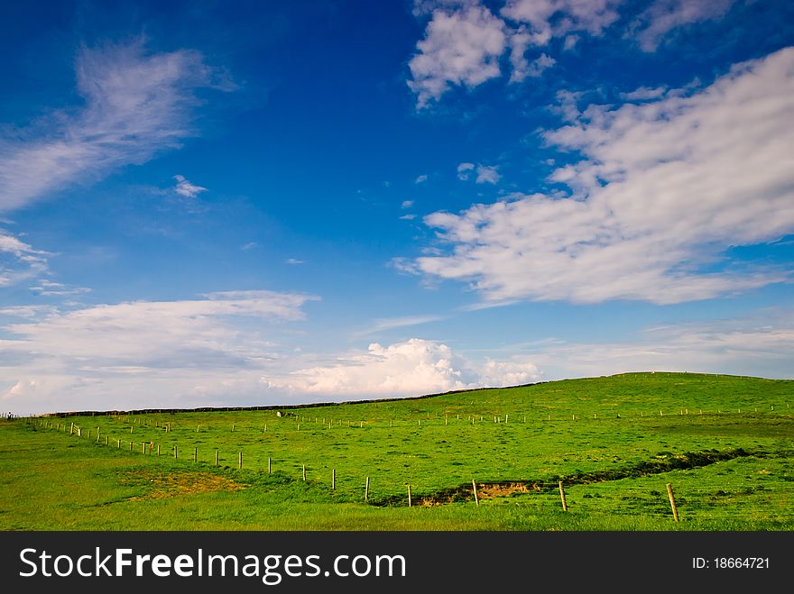 Green meadow in sunny day under blue sky, Ireland. Green meadow in sunny day under blue sky, Ireland