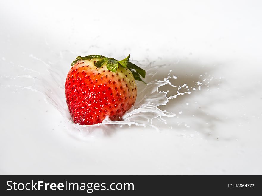 Strawberry falling in Milk, fast action shot. Strawberry falling in Milk, fast action shot