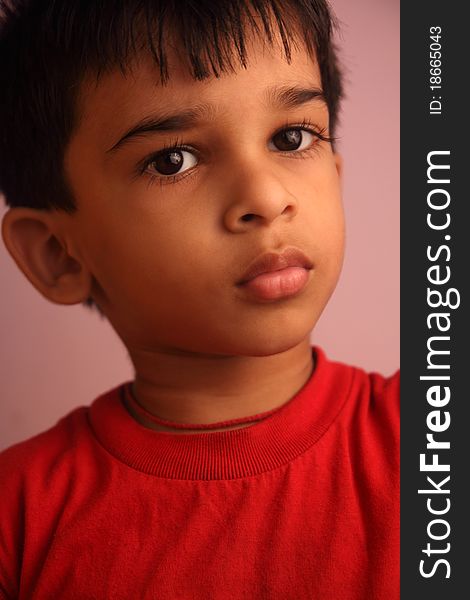 Portrait Of Cute Indian Little Boy Posing to Camera