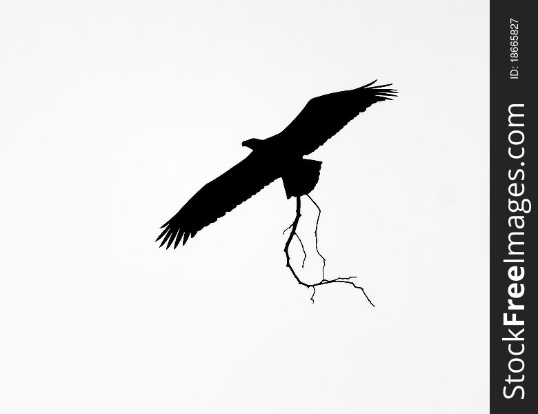 Bald eagle silhouette flying across blue sky. Bald eagle silhouette flying across blue sky