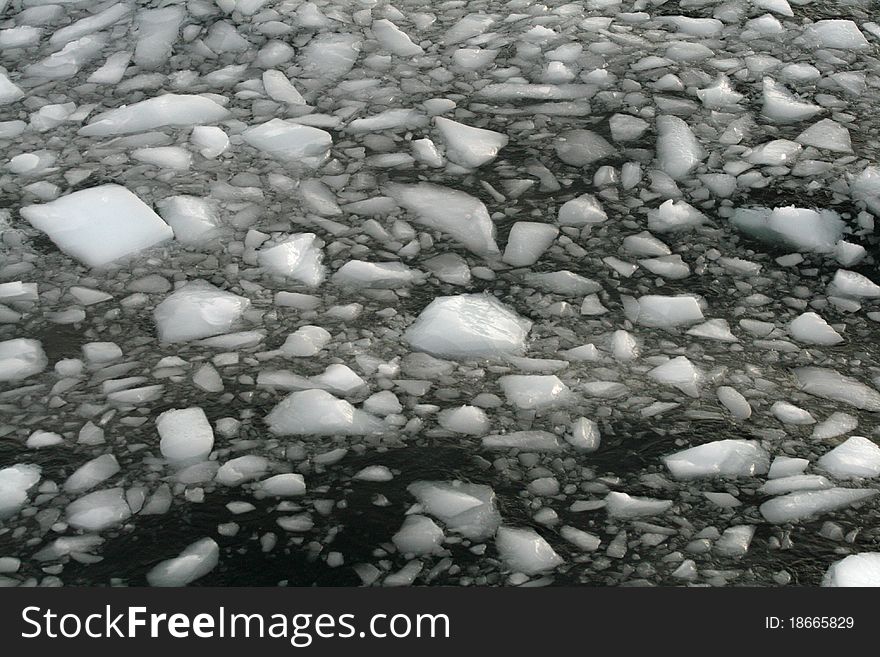 Floating ice in the Drake Passage