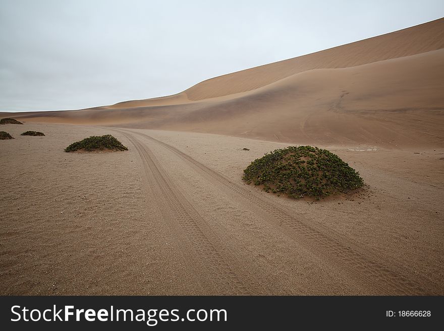 Track through the Desert Dunes in Namibia