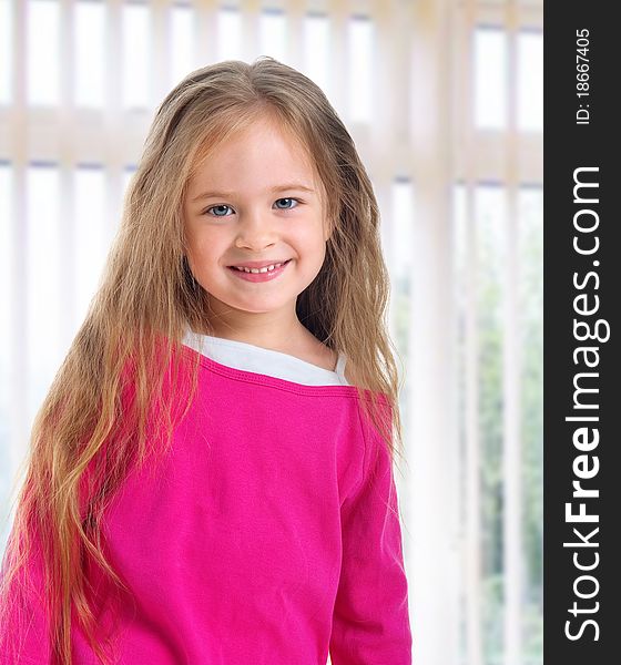 Cute little girl with long blond hair