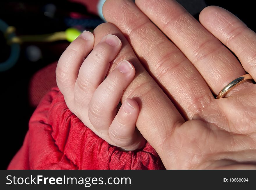 Picture of two hands of mother and son. Picture of two hands of mother and son