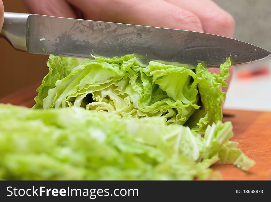 Woman hands cutting fresh green lettuce. Woman hands cutting fresh green lettuce