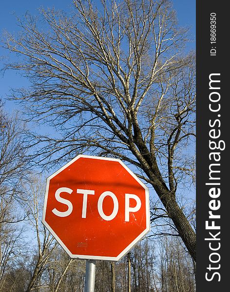 Road sign stop on the sky background and tree