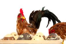 Two Chickens And Easter Eggs Royalty Free Stock Photography Two Chickens And Easter Eggs Royalty Free Stock Photography
