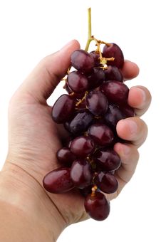 Bunch Of Red Grapes In The Hand Isolated On White Stock Photos