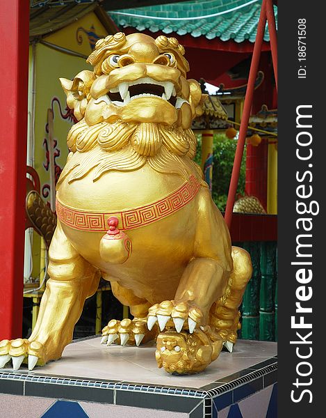 A chinese gold stone lion at the temple. A chinese gold stone lion at the temple