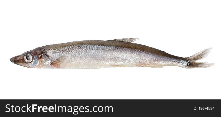 Raw capelin isolated on a white background (Path). Raw capelin isolated on a white background (Path)