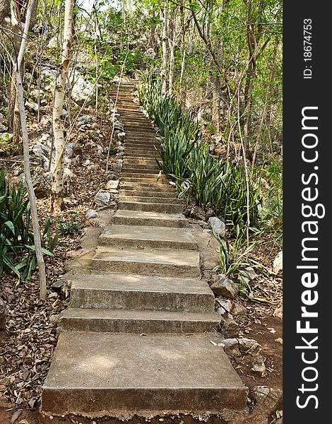 Stone stairway leads up a hill in the forest