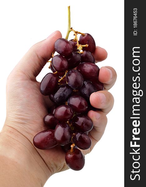 Bunch of red grapes in a man's hand isolated on white. Bunch of red grapes in a man's hand isolated on white