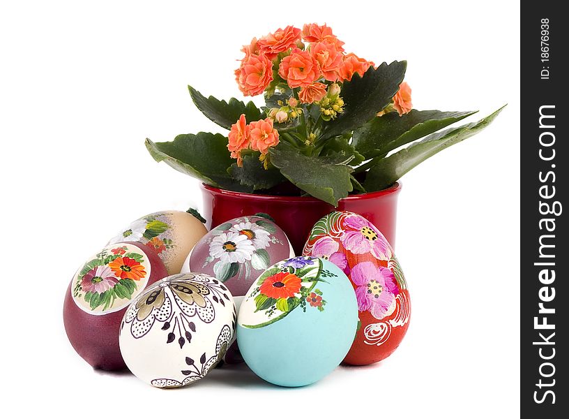 Easter eggs and flower with white background