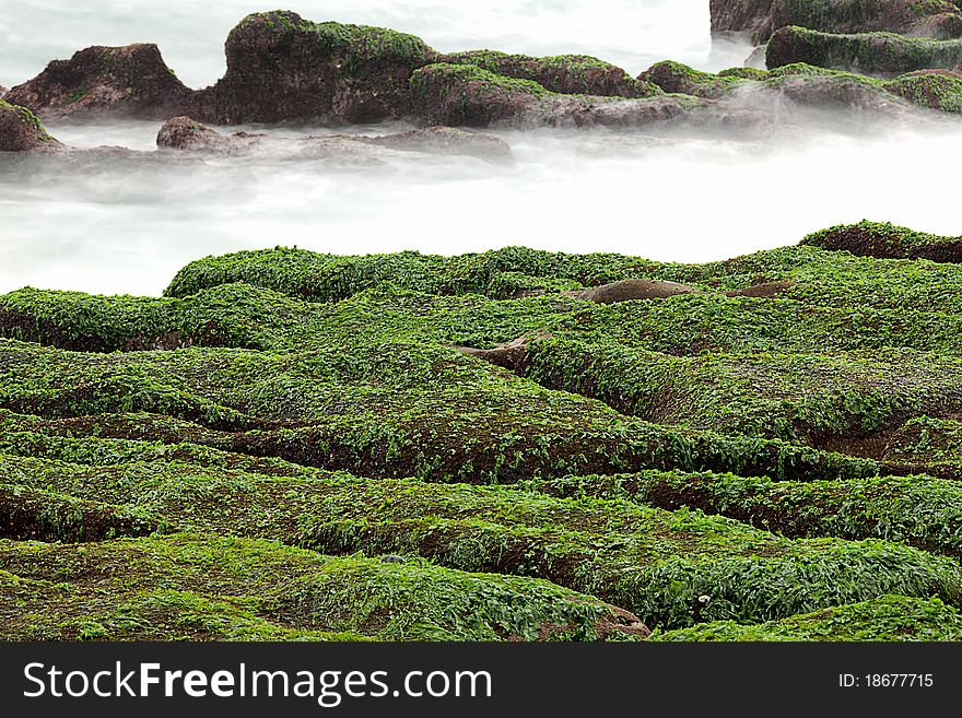 Rocky Seacoast full of green seaweed, long time exposure, Taiwan, East Asia