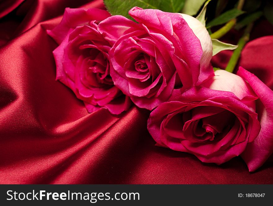 Three roses on satin background