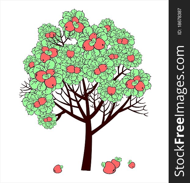 Apple tree