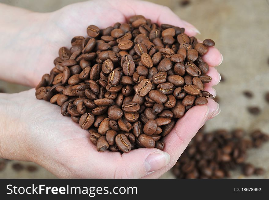 Women's hands hold roasted coffee beans close up