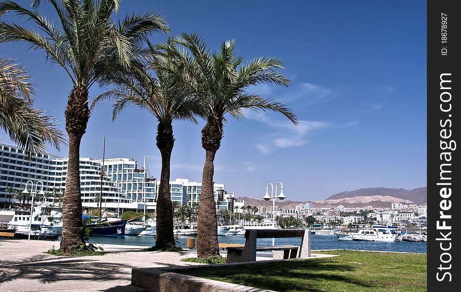 This shot was taken at the northern beach of Eilat, Israel. This shot was taken at the northern beach of Eilat, Israel
