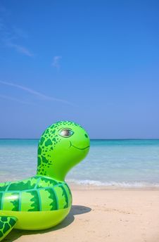Sea Turtle Swimming Tube On The Beach Stock Image Sea Turtle Swimming Tube On The Beach Stock Image
