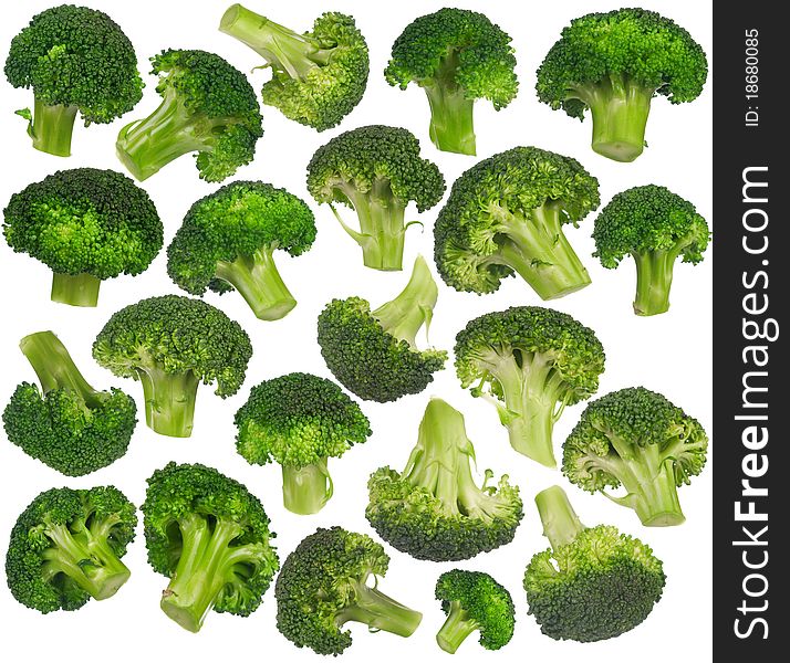 Set of different broccoli on white background. Set of different broccoli on white background