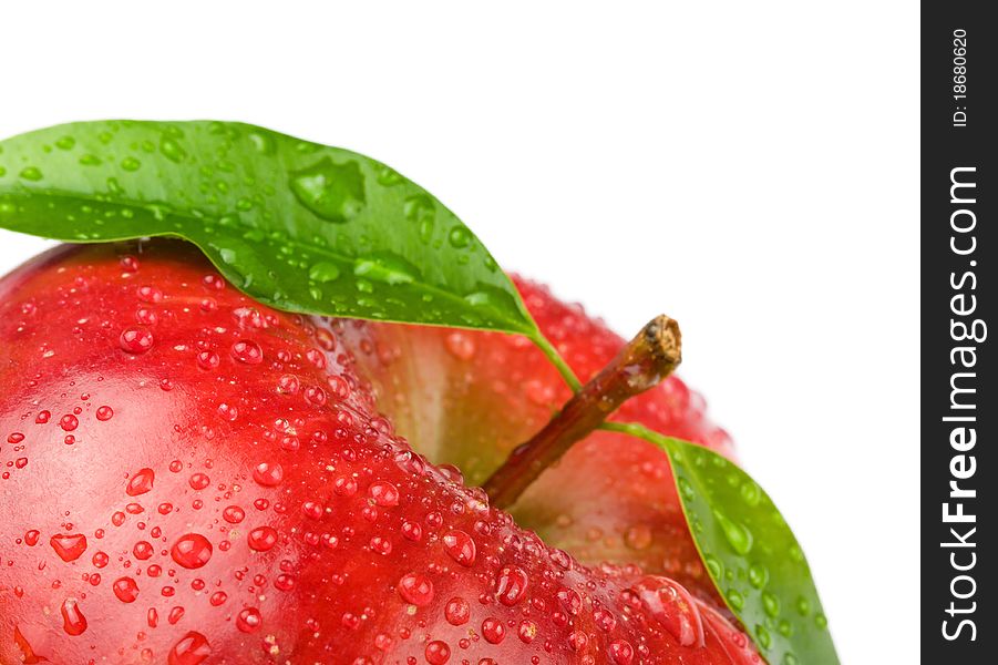 Ripe red apple on a white background