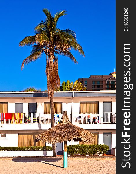 Palm in front of Motel at the beautiful beach. Palm in front of Motel at the beautiful beach