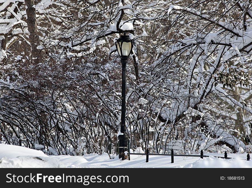 After a large snow storm early in the morning in Central Park, street lamp. After a large snow storm early in the morning in Central Park, street lamp